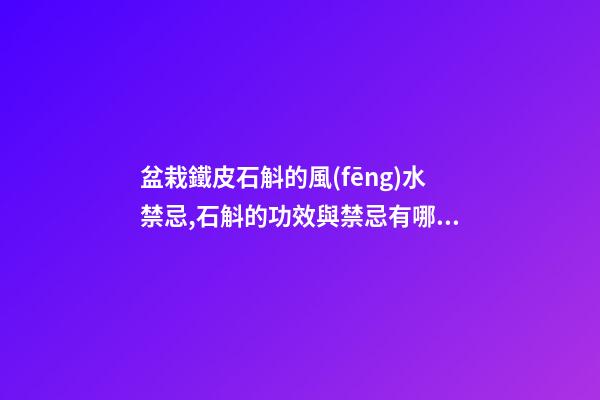 盆栽鐵皮石斛的風(fēng)水禁忌,石斛的功效與禁忌有哪些？